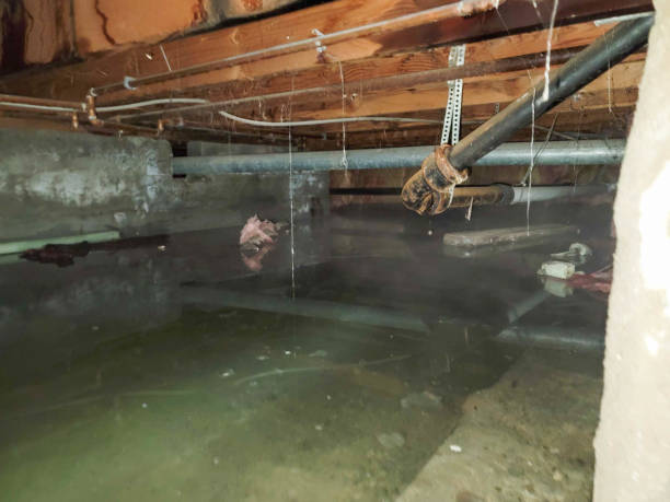 Best Fire Damage Restoration  in Bethany, OR