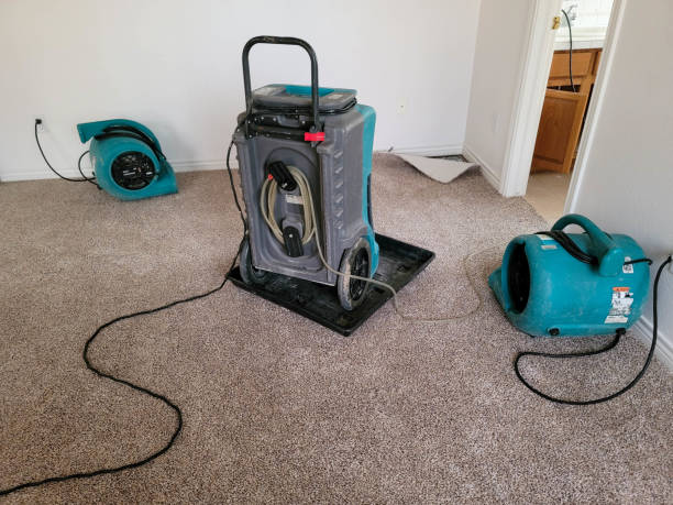 Best Water damage restoration mold remediation  in Bethany, OR