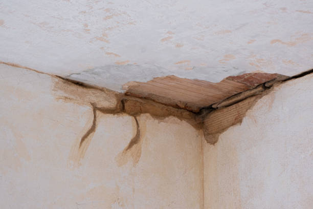 Best Water damage restoration near me  in Bethany, OR