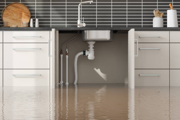 Trusted OR Water damage restoration Experts