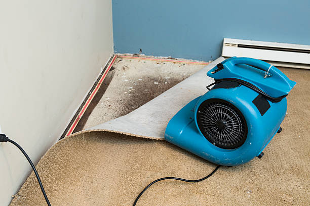 Carpet water damage restoration in OR